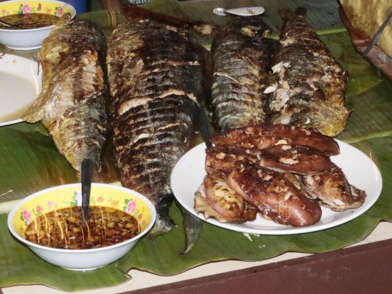 페상안 서프캠프 호텔 Siargao 외부 사진